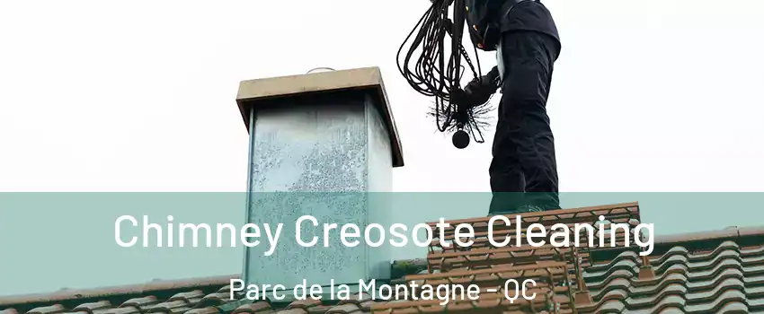  Chimney Creosote Cleaning Parc de la Montagne - QC