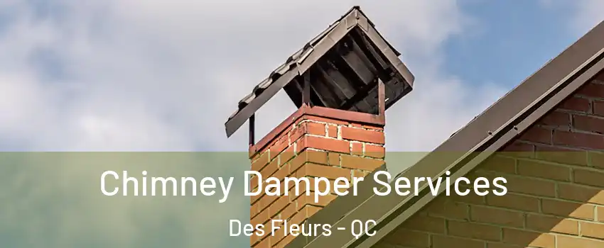  Chimney Damper Services Des Fleurs - QC