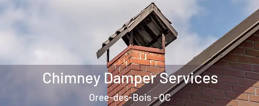  Chimney Damper Services Oree-des-Bois - QC