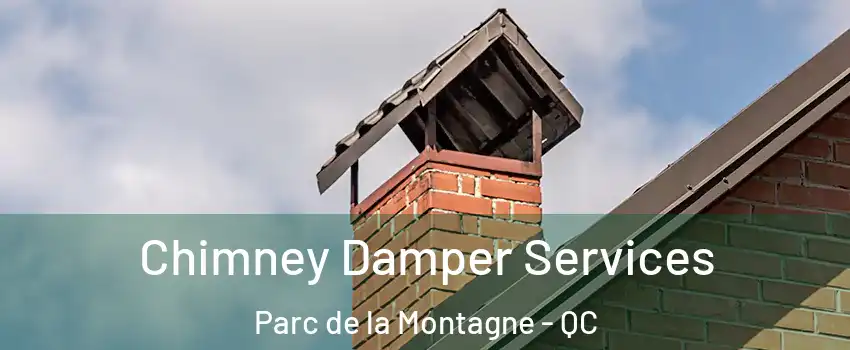  Chimney Damper Services Parc de la Montagne - QC