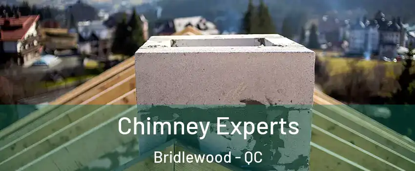 Chimney Experts Bridlewood - QC
