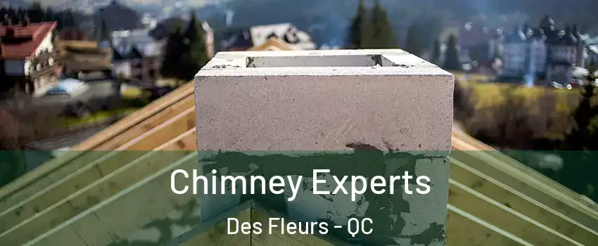 Chimney Experts Des Fleurs - QC