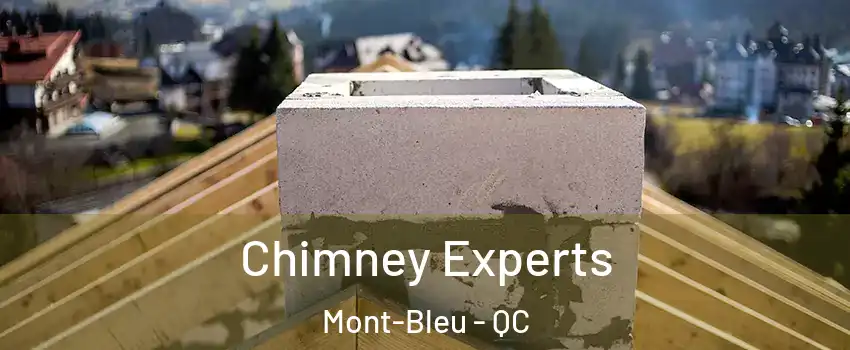Chimney Experts Mont-Bleu - QC