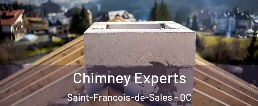 Chimney Experts Saint-Francois-de-Sales - QC