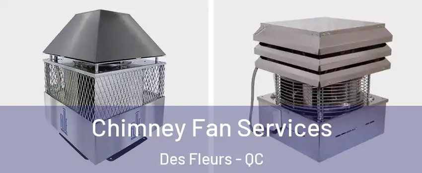  Chimney Fan Services Des Fleurs - QC