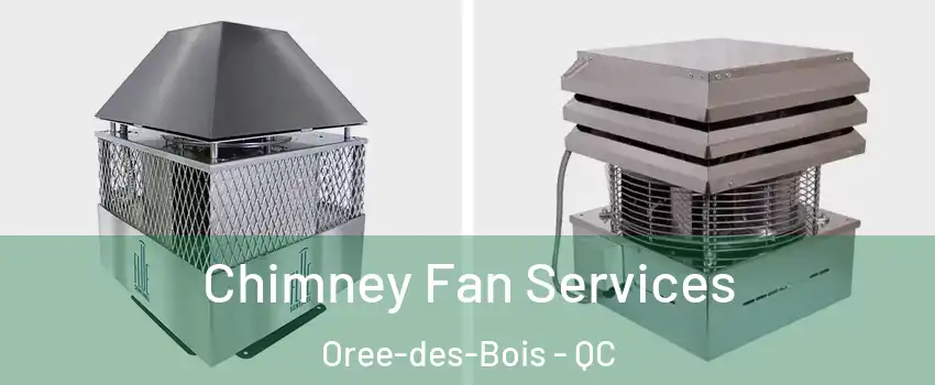  Chimney Fan Services Oree-des-Bois - QC