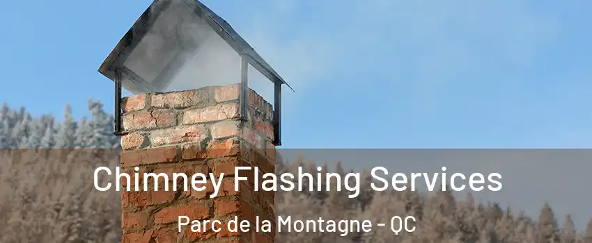 Chimney Flashing Services Parc de la Montagne - QC