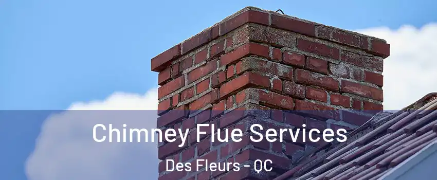  Chimney Flue Services Des Fleurs - QC