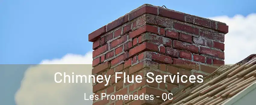  Chimney Flue Services Les Promenades - QC
