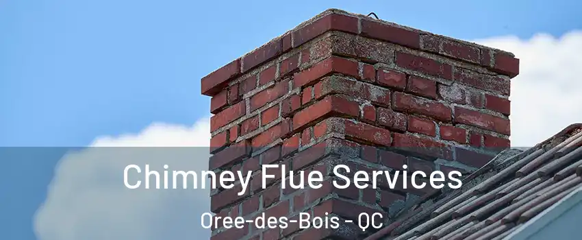  Chimney Flue Services Oree-des-Bois - QC