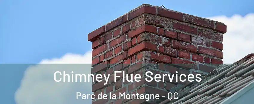  Chimney Flue Services Parc de la Montagne - QC
