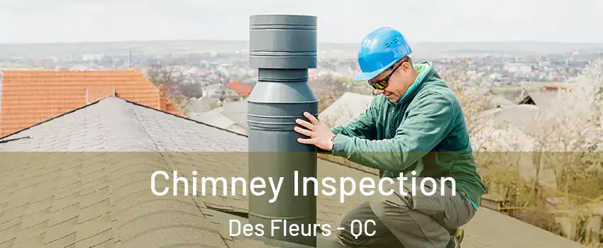  Chimney Inspection Des Fleurs - QC