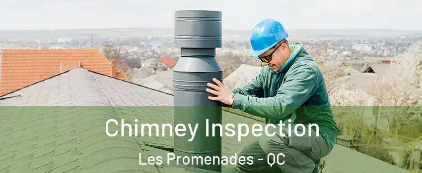  Chimney Inspection Les Promenades - QC
