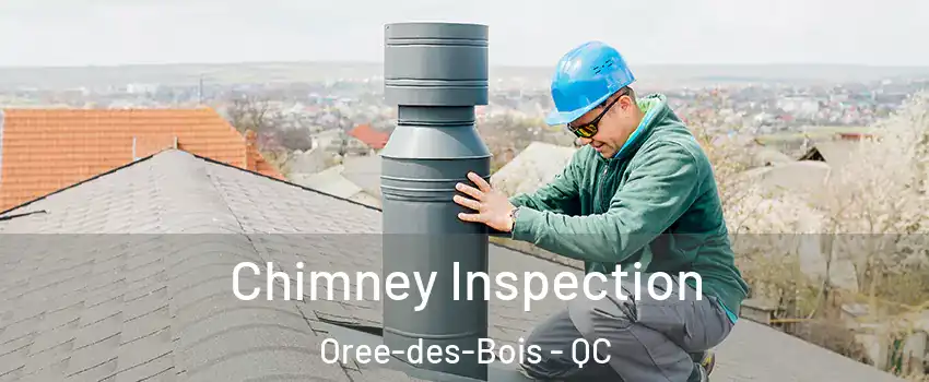  Chimney Inspection Oree-des-Bois - QC