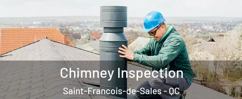  Chimney Inspection Saint-Francois-de-Sales - QC