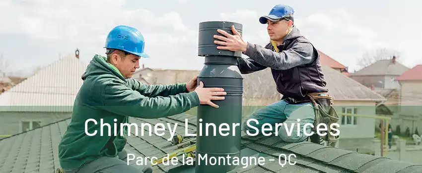 Chimney Liner Services Parc de la Montagne - QC