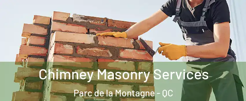  Chimney Masonry Services Parc de la Montagne - QC