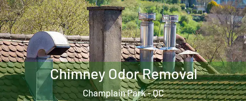  Chimney Odor Removal Champlain Park - QC