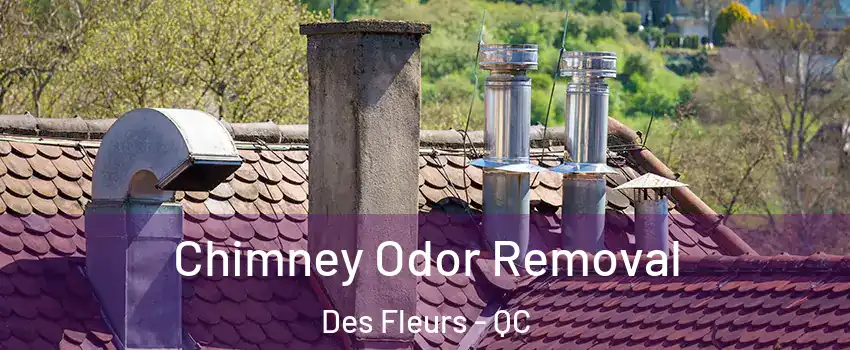  Chimney Odor Removal Des Fleurs - QC