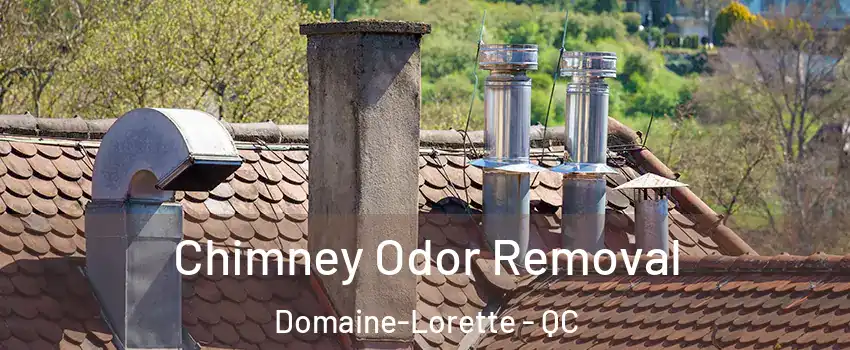  Chimney Odor Removal Domaine-Lorette - QC