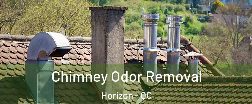  Chimney Odor Removal Horizon - QC