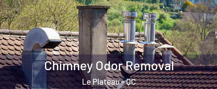  Chimney Odor Removal Le Plateau - QC