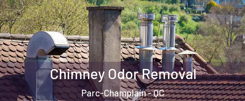  Chimney Odor Removal Parc-Champlain - QC