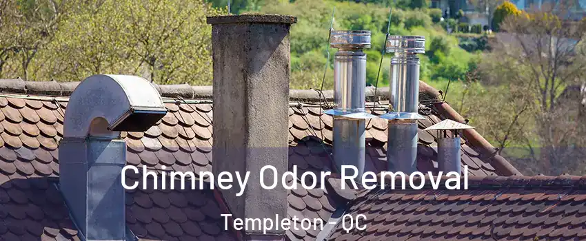 Chimney Odor Removal Templeton - QC