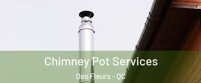  Chimney Pot Services Des Fleurs - QC