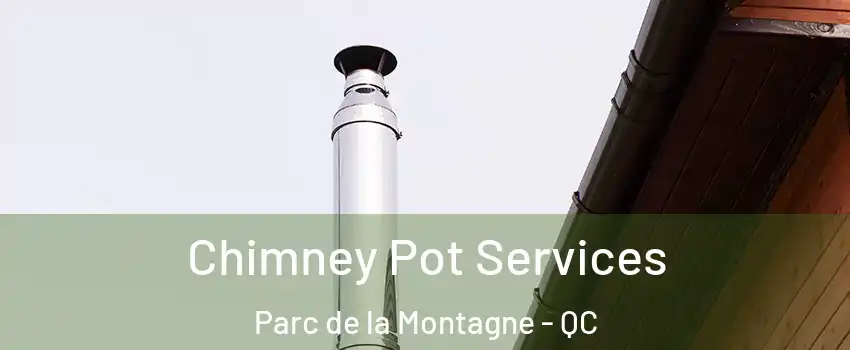  Chimney Pot Services Parc de la Montagne - QC