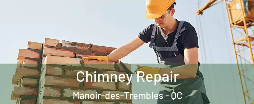  Chimney Repair Manoir-des-Trembles - QC