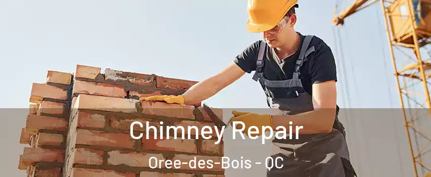  Chimney Repair Oree-des-Bois - QC