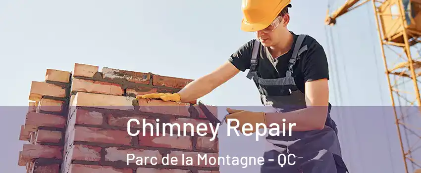  Chimney Repair Parc de la Montagne - QC