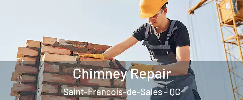  Chimney Repair Saint-Francois-de-Sales - QC