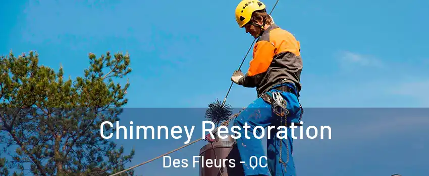  Chimney Restoration Des Fleurs - QC