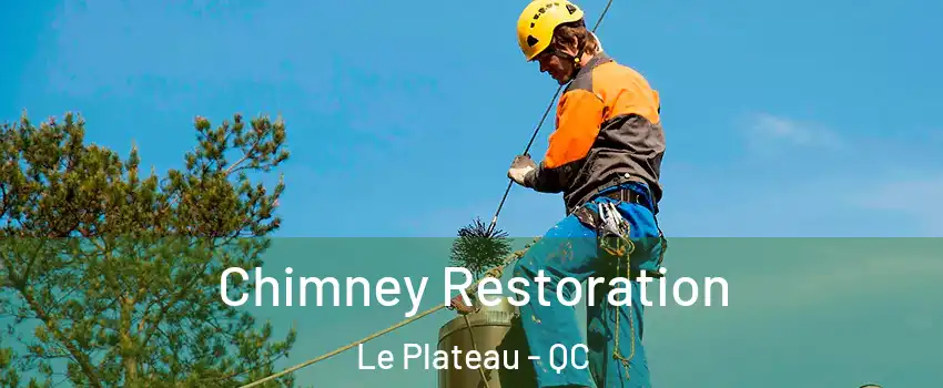  Chimney Restoration Le Plateau - QC