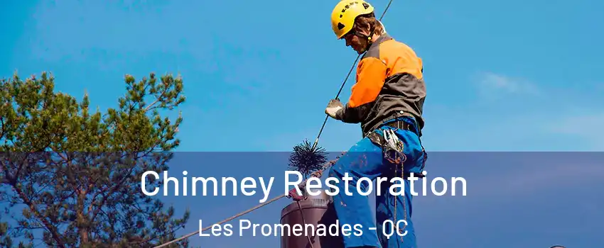  Chimney Restoration Les Promenades - QC