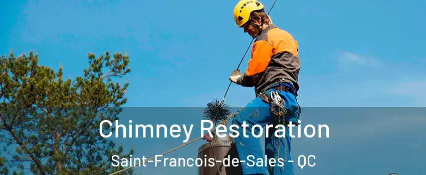  Chimney Restoration Saint-Francois-de-Sales - QC