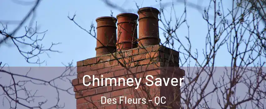  Chimney Saver Des Fleurs - QC