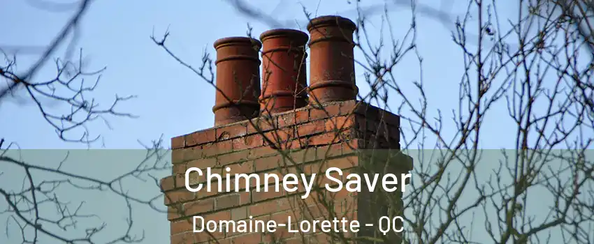  Chimney Saver Domaine-Lorette - QC