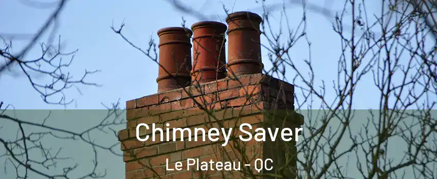  Chimney Saver Le Plateau - QC