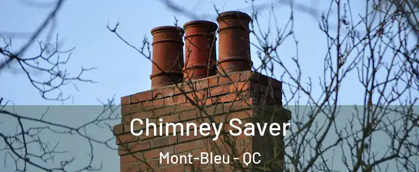  Chimney Saver Mont-Bleu - QC