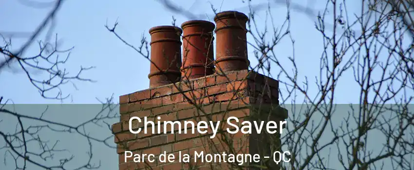  Chimney Saver Parc de la Montagne - QC