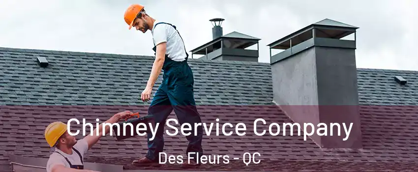  Chimney Service Company Des Fleurs - QC