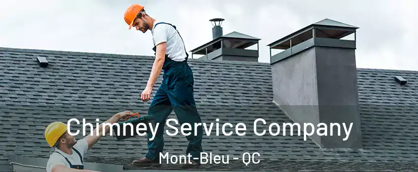  Chimney Service Company Mont-Bleu - QC
