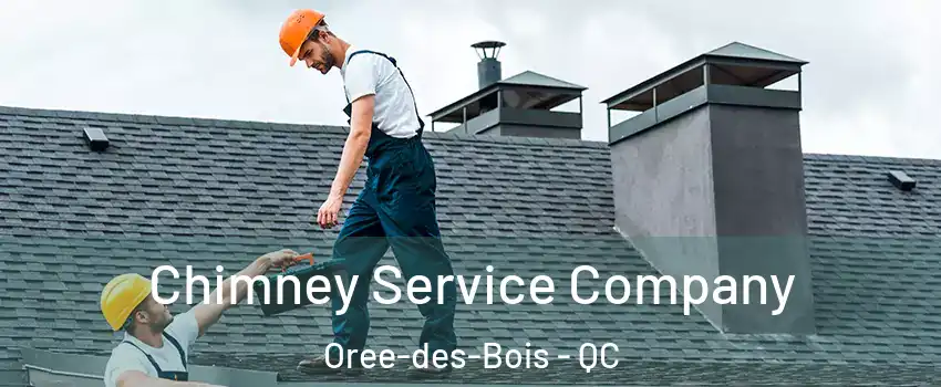  Chimney Service Company Oree-des-Bois - QC