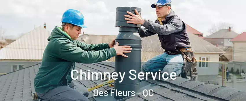  Chimney Service Des Fleurs - QC