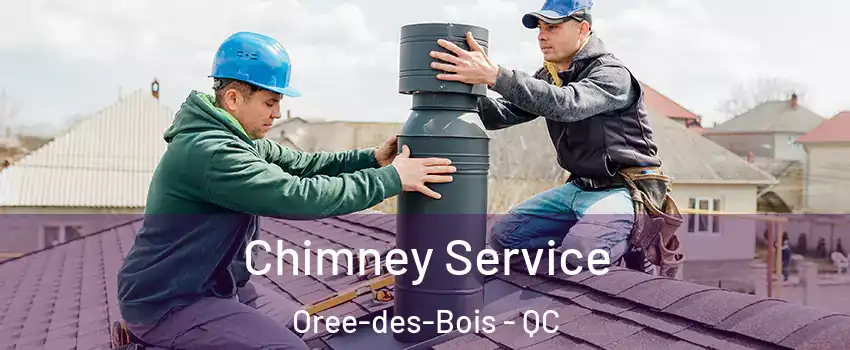  Chimney Service Oree-des-Bois - QC