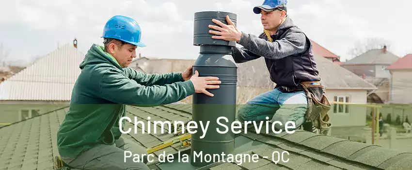  Chimney Service Parc de la Montagne - QC