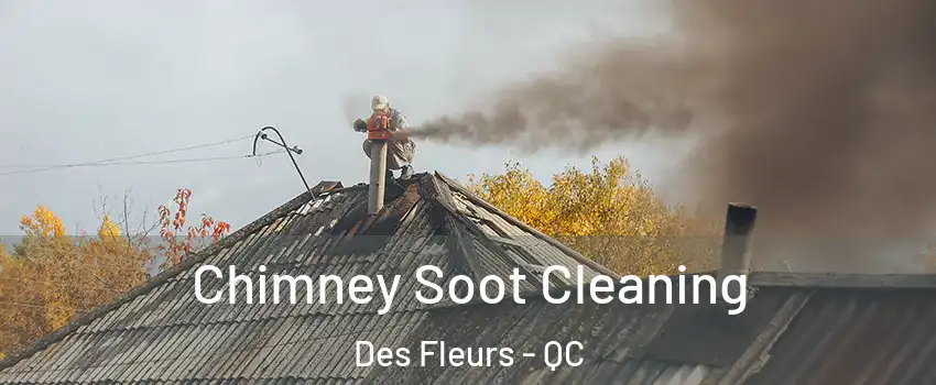  Chimney Soot Cleaning Des Fleurs - QC